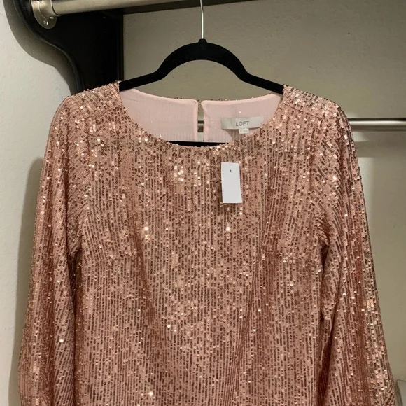 Sequin dress top from the LOFT. New. Size XS. Sequin dress top from the LOFT. New. Size XS.
